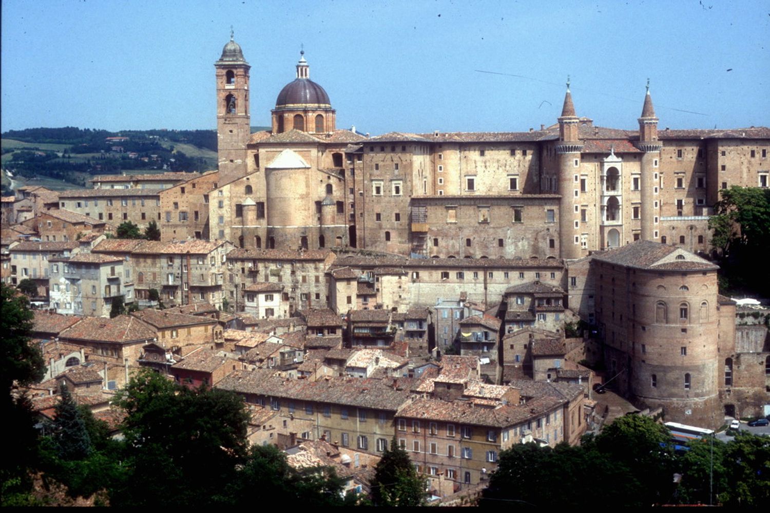 &nbsp;Urbino
