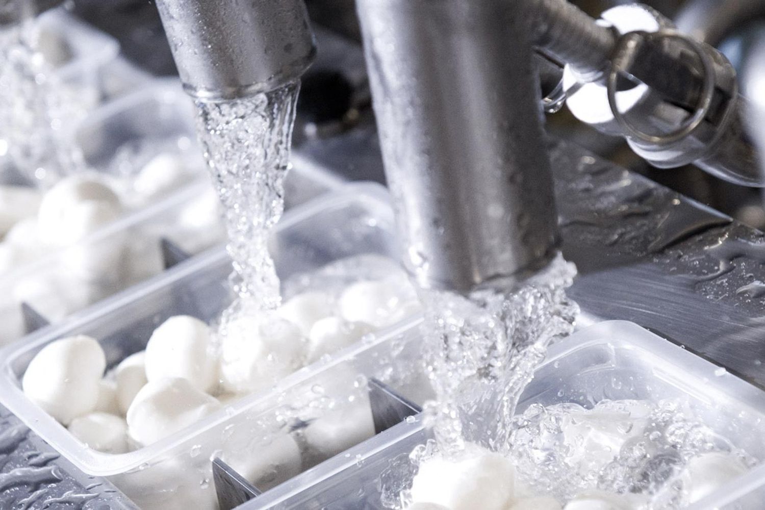 &nbsp;mozzarelle Trevisanalat (sito)