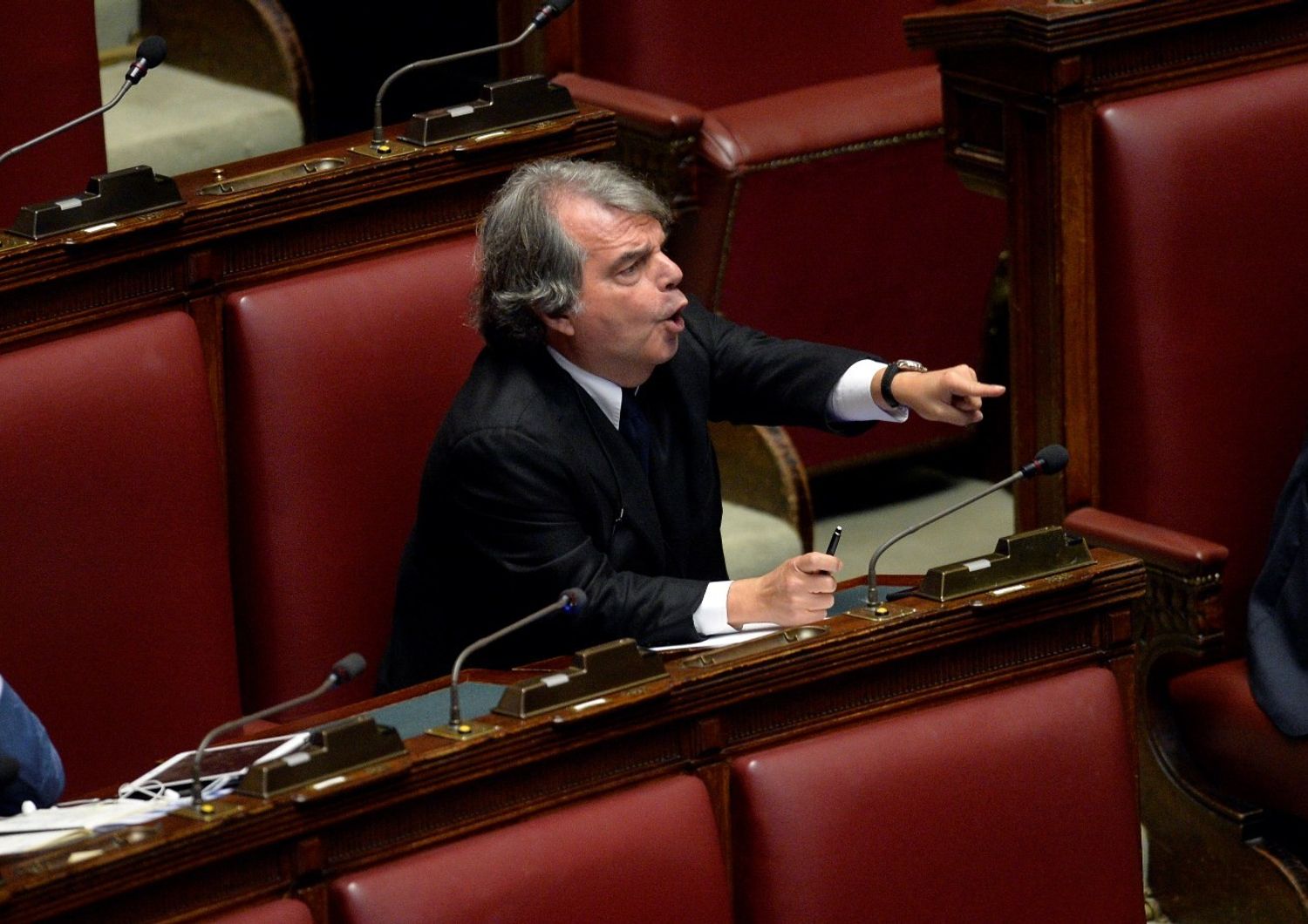 &nbsp;brunetta (imago)