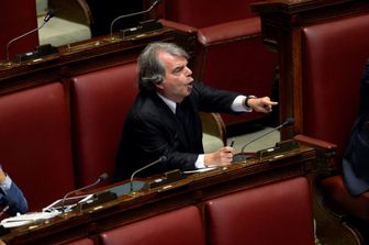 &nbsp;brunetta (imago)