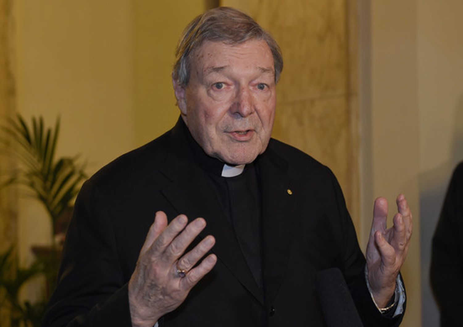 cardinale George Pell (Afp)&nbsp;