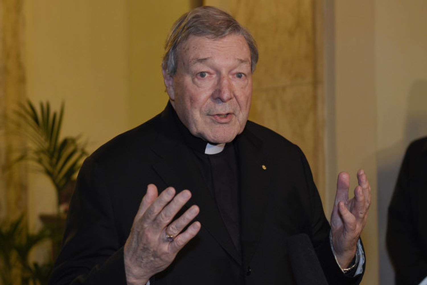 cardinale George Pell (Afp)&nbsp;