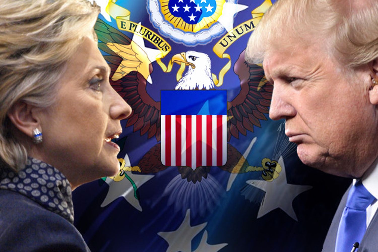 Elezioni Usa Hillary Clinton Donald Trump Casa Bianca aquila&nbsp;