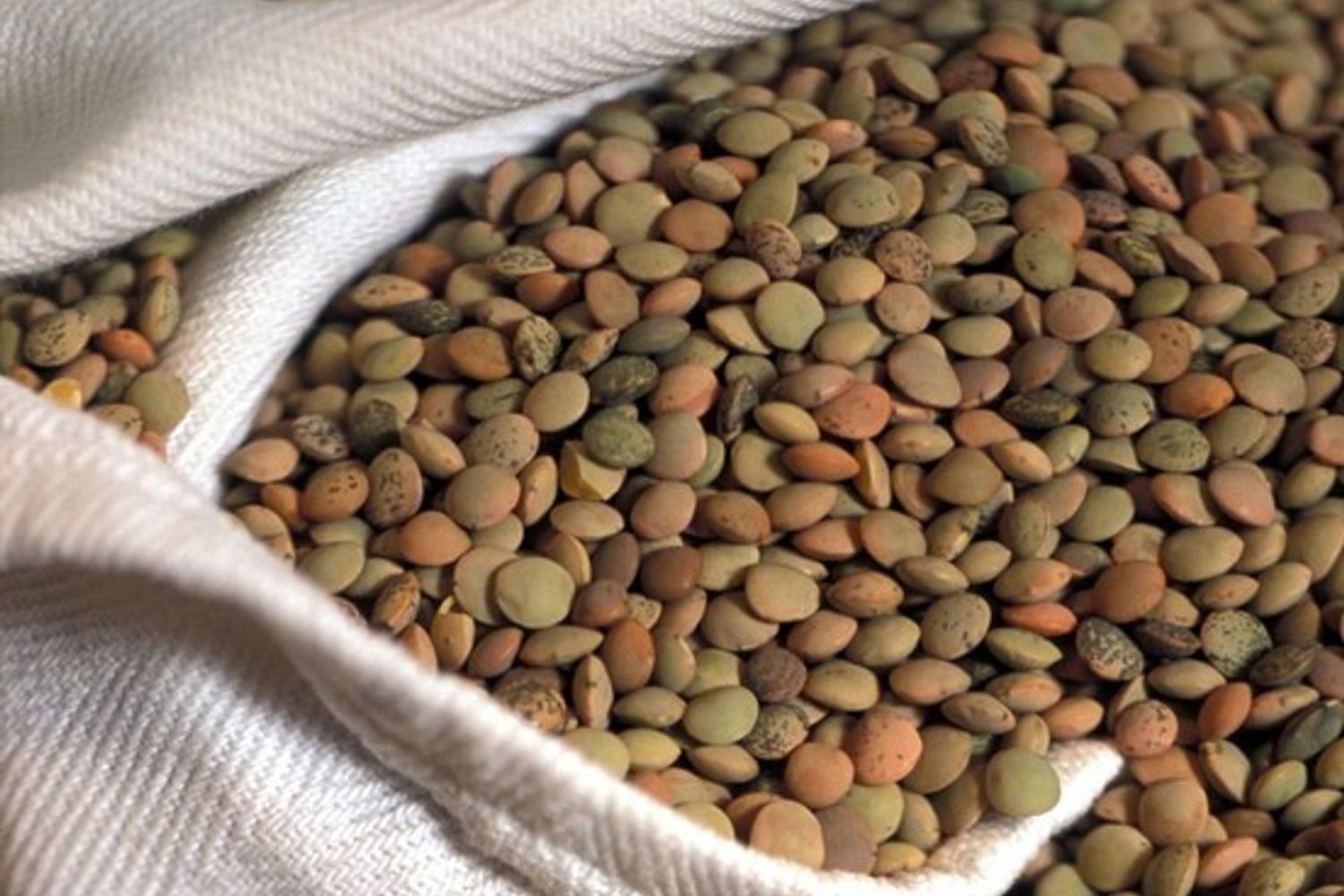 &nbsp;lenticchie (agf)