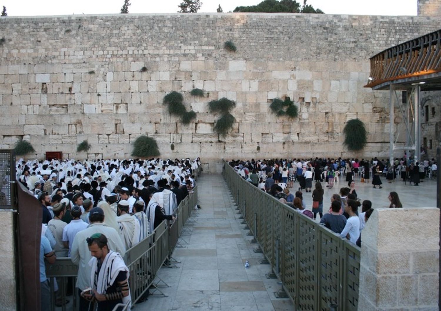 &nbsp;Gerusalemme Muro del pianto (Afp)