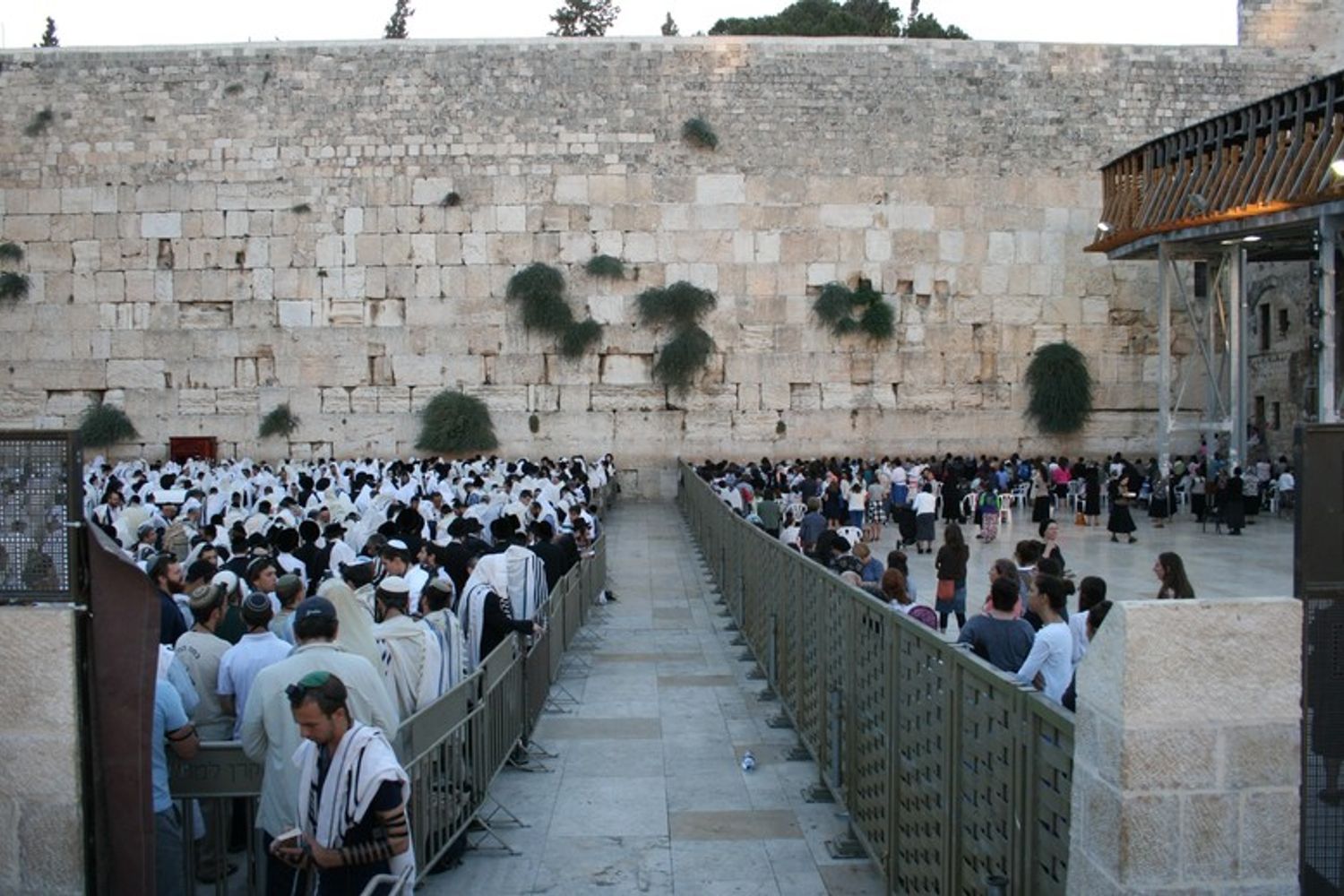 &nbsp;Gerusalemme Muro del pianto (Afp)