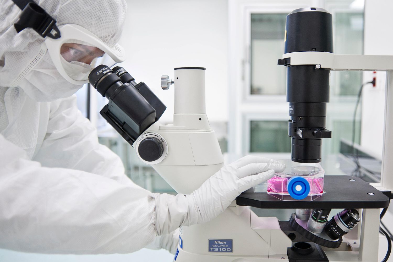 &nbsp;Ricerca - cellule (Ospedale pediatrico Bambino Gesu')