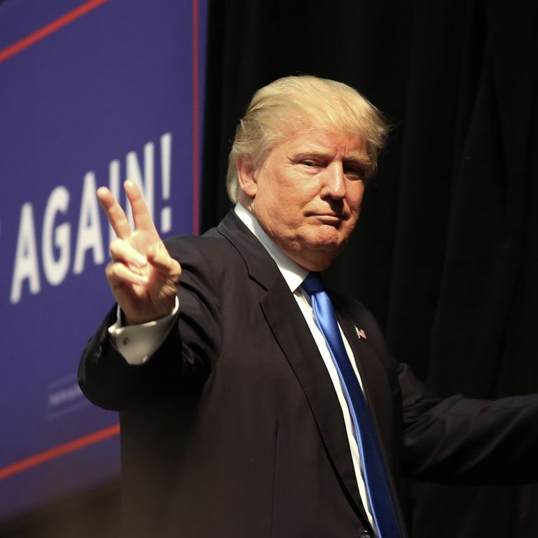 &nbsp;Presidenziali Usa 2016 Donald Trump (Afp)