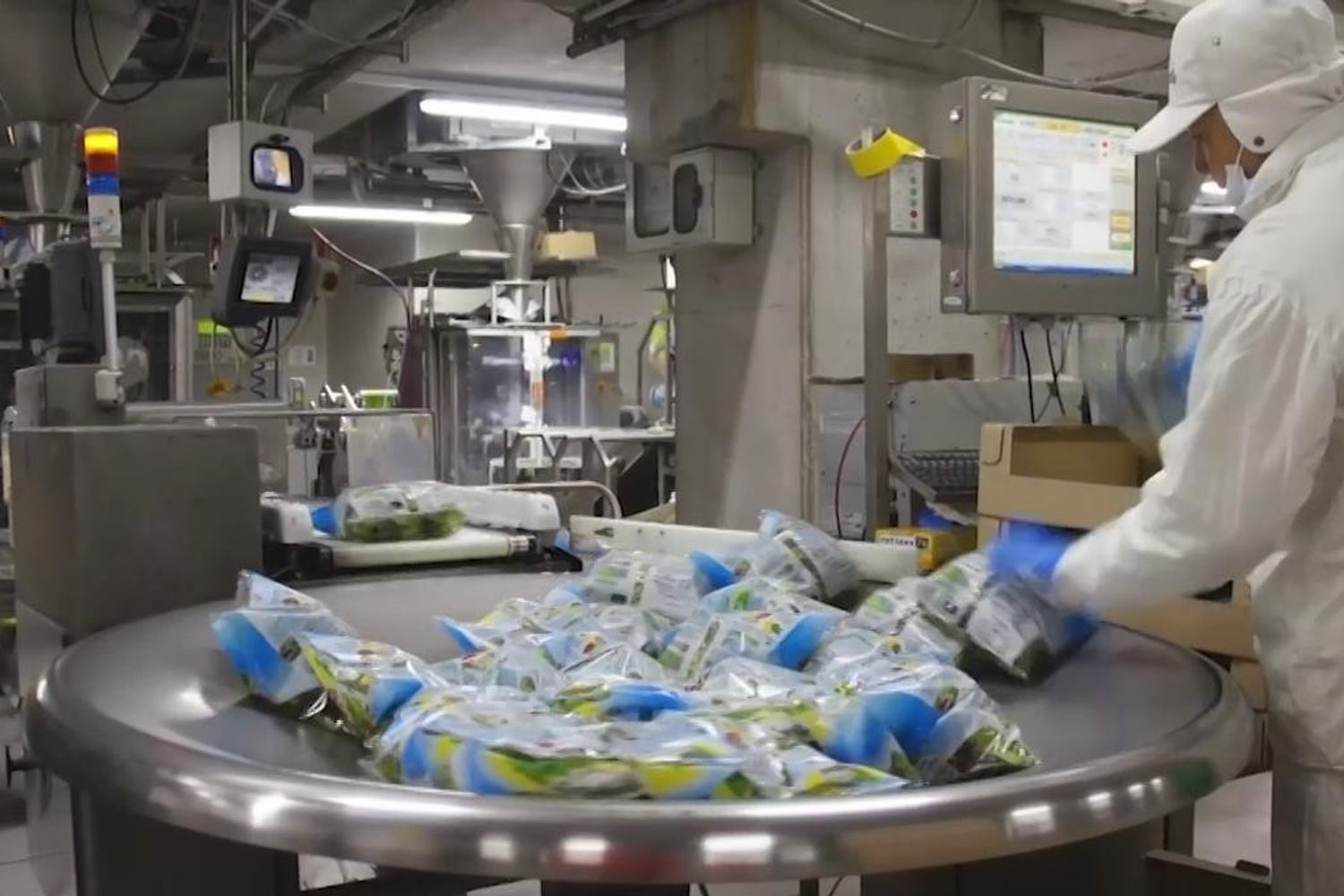 &nbsp;Insalata in busta