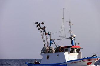 peschereccio (Agf)&nbsp;