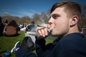 cannabis (agf)&nbsp;