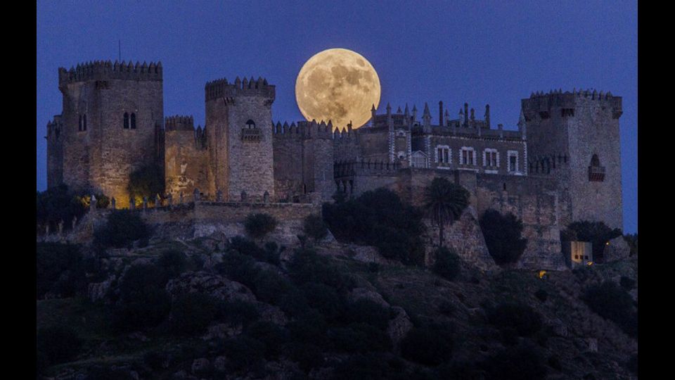 Superluna (twitter)&nbsp;