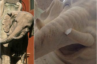 Elefantino del bernini con zanna rotta
