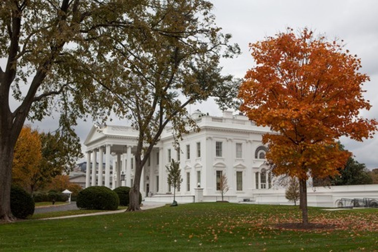 Casa Bianca White house (afp)