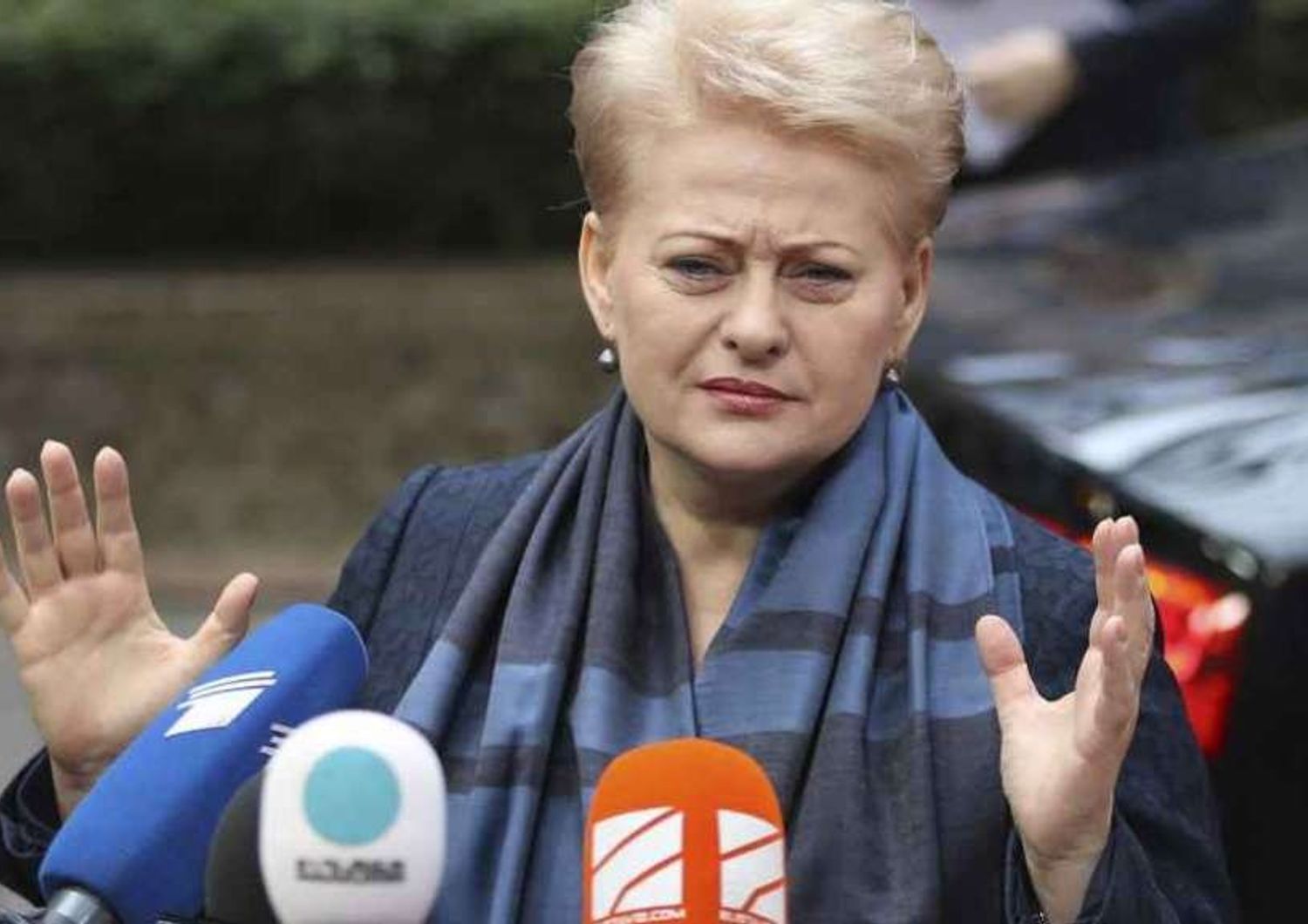 Ue: presidente lituana, per Esteri figura non pro-Cremlino