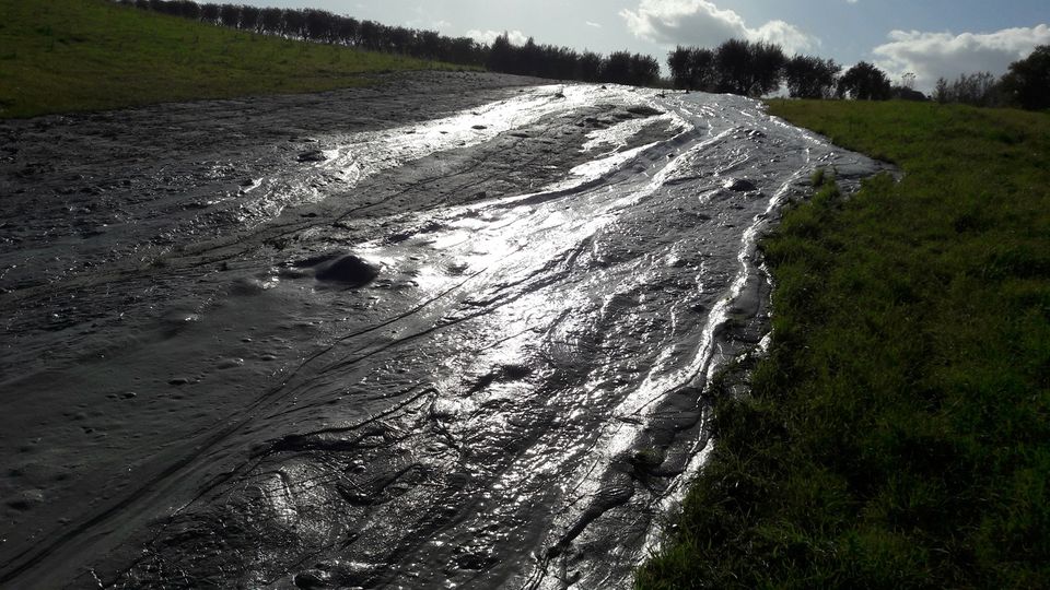 Pastosa, morbida, come fosse una crema.&nbsp;