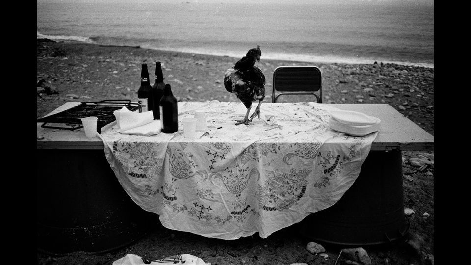 &nbsp;Letizia BattagliaNella spiaggia della Arenella la festa &egrave; finitaPalermo, 1986Courtesy l'artista
