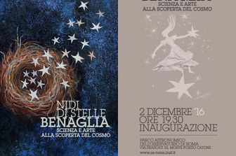 &nbsp;nidi di stelle benaglia enrico benaglia