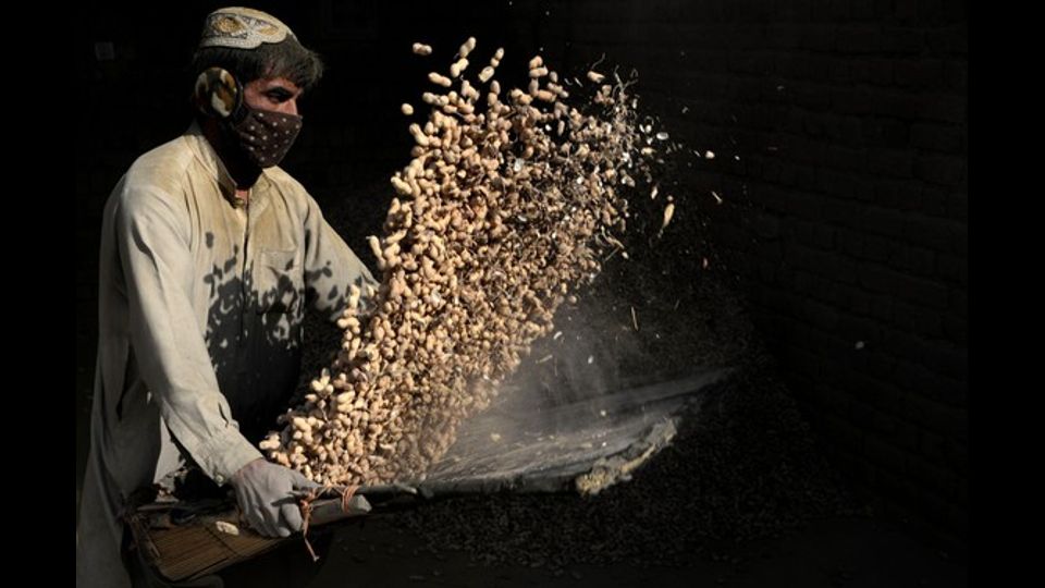 &nbsp; Un operaio afghano al lavoro in una fabbrica di arachidi a &nbsp;Jalalabad&nbsp;(Foto Afp)