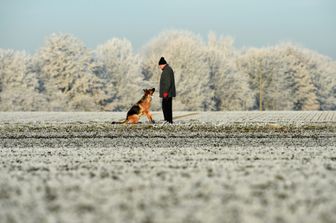 Sguardo intenso tra uomo e il suo cane villaggio bavarese di Olching nei pressi di Monaco di Baviera, Germania meridionale (Afp)