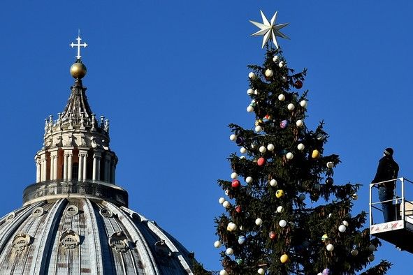 L'albero di Natale in piazza San Pietro (Afp)&nbsp;