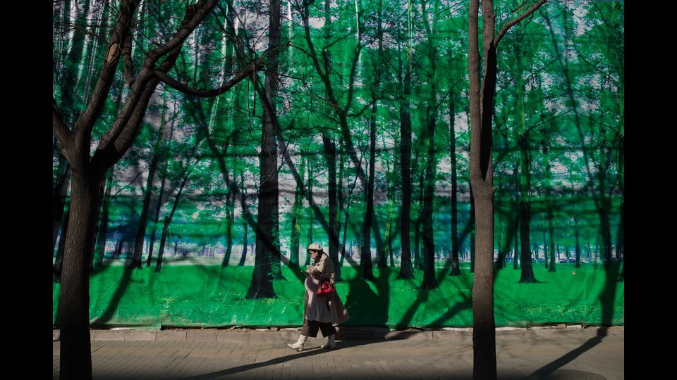A Pechino una donna incinta cammina in una strada con a sfondo un lungo drappeggio raffigurante il verde degli alberi (Foto Afp)&nbsp;