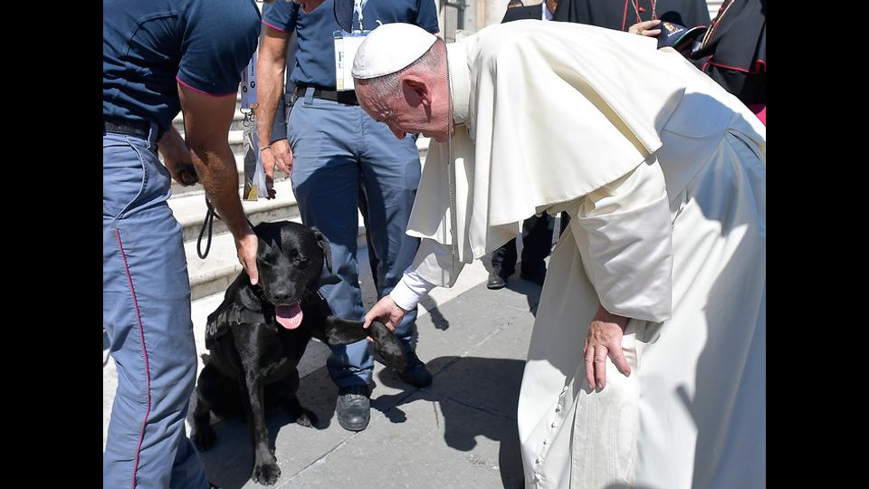 Papa Francesco a piazza San Pietro accarezza Leo, il labrador che, dopo il terremoto del 24 agosto che ha colpito il Centro Italia, ha salvato una bambina dalle macerie di Arquata del Tronto (foto Afp)&nbsp;