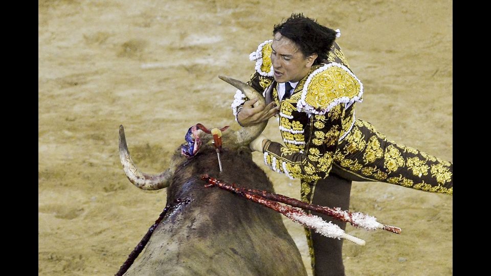 Il torero peruviano Andres Roca Rey viene colpito durante una corrida a Cali in Colombia (foto Afp)&nbsp;