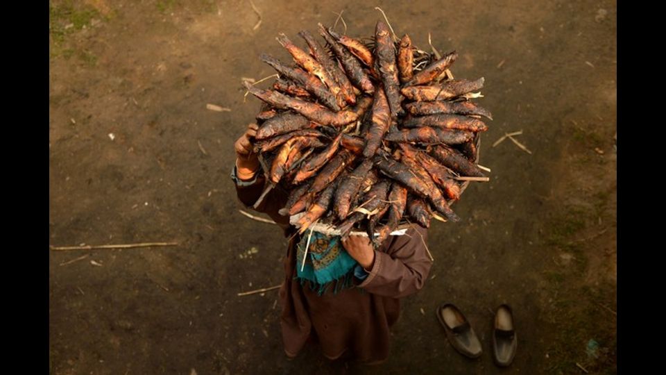 &nbsp;Una donna del Kashmir trasporta sulla testa una grande cesta di pesce fresco affumicato. Il pesce affumicato che &egrave; conosciuto localmente come 'Fahre' ha una lunga preparazione ed &egrave; uno degli alimenti tradizionali nello stato himalayano (foto Afp)
