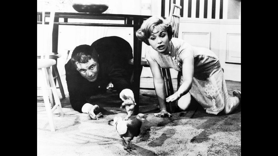 &nbsp;Debbie Reynolds e Glenn Ford nel film &quot;Gazebo&quot;, 1959 (foto Afp)