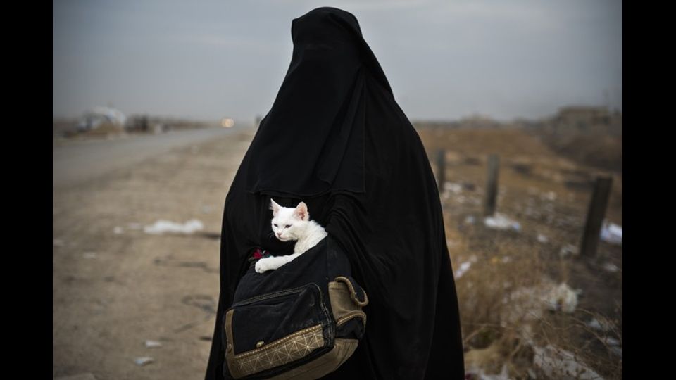 Un'irachena sfollata, con il suo gattino, aspetta di essere trasportata nel villaggio di Shaqouli, a circa 35 chilometri a est di Mosul. Le forze irachene stanno cercando di riconquistare la citt&agrave; di Mosul in mano ai jihadisti dell'Isis &nbsp;(foto Afp)