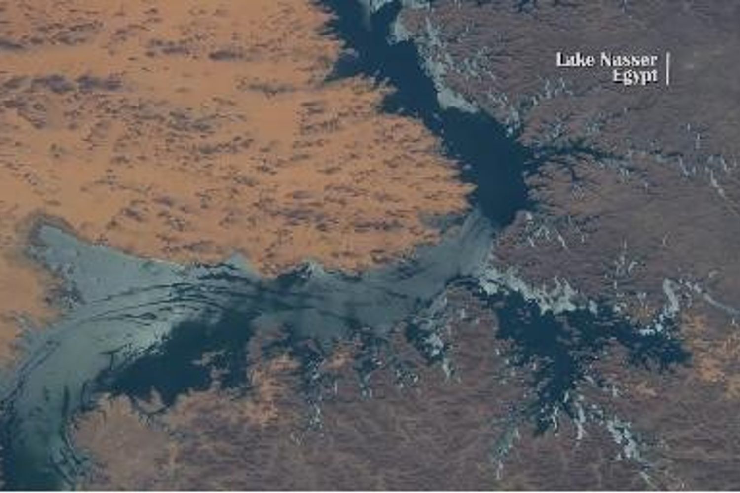 &nbsp;Nasa la terra vista dallo spazio (twitter)