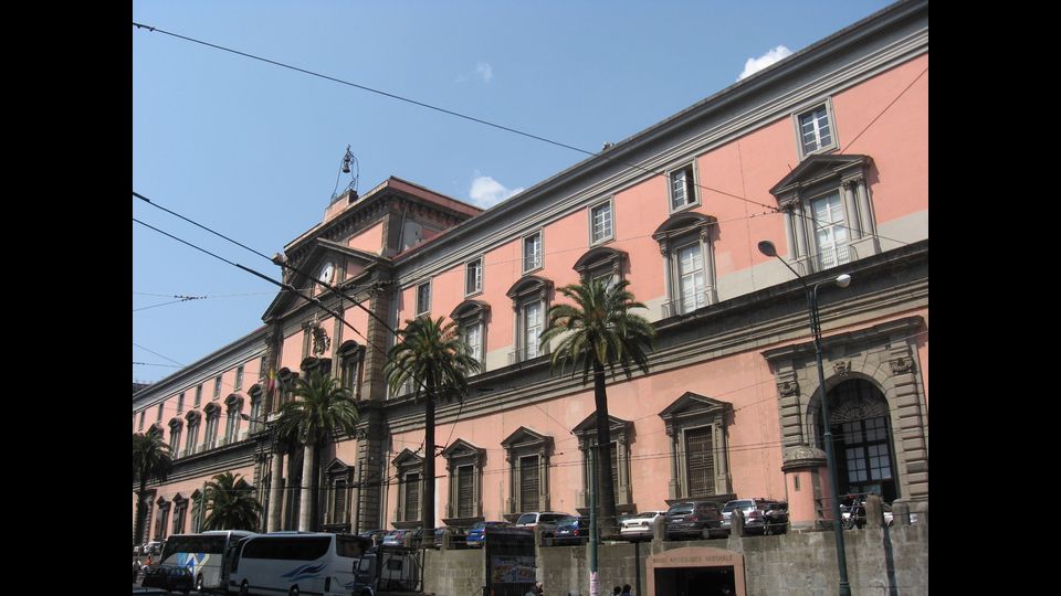 Napoli. Museo Archeologico Nazionale (wikipedia)&nbsp;