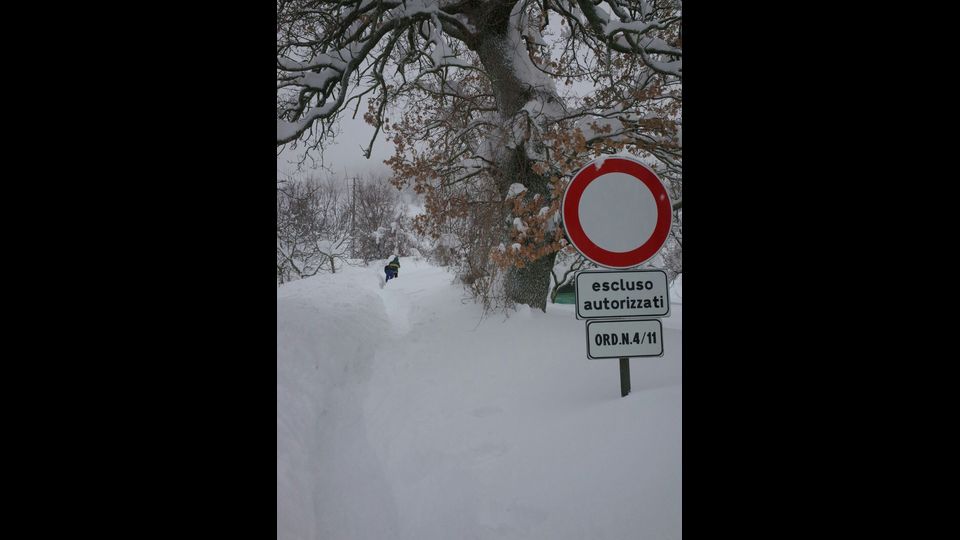 &nbsp;(Foto reparto Carabinieri Forestale)