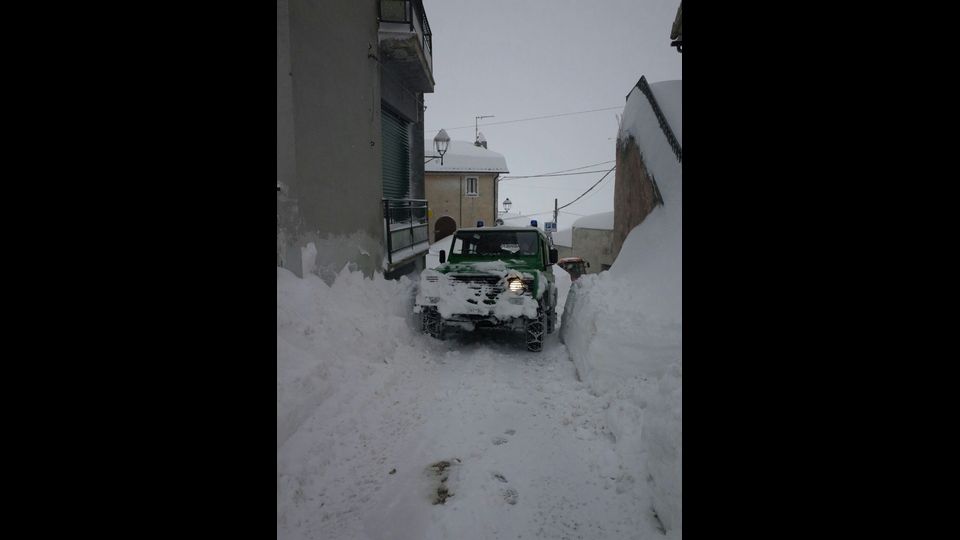 &nbsp;(Foto reparto Carabinieri Forestale)