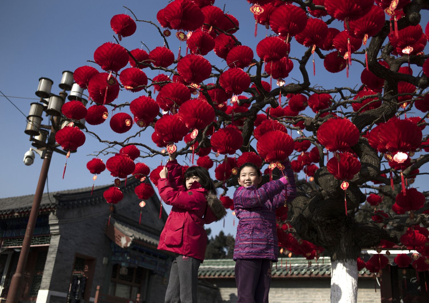 &nbsp;Pechino, bambini cinesi si preparano a festeggiare il nuovo anno lunare, conosciuto come il Festival di Primavera, che quest'anno cade il 28 gennaio e segna l'Anno del Gallo nel calendario cinese (foto Afp)