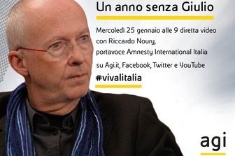 Cover Noury vivaitalia sito