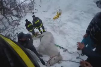 &nbsp;Maltempo, &nbsp;cavallo liberato dai vigili a Capradosso di Rotella (AP)