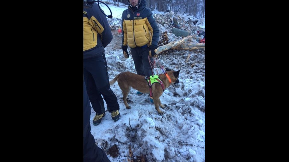 Dopo una settimana di lavoro anche i cani da valanga meritano un p&ograve; di riposo (foto di Lorenzo D'Avanzo) &nbsp;