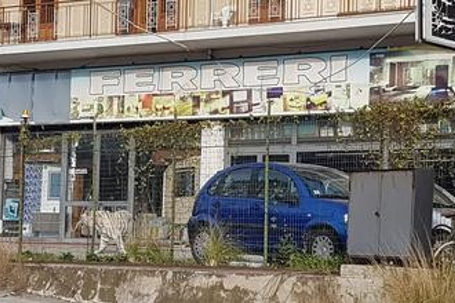 &nbsp;Tigre bianca a Monreale