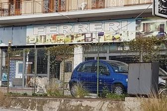 &nbsp;Tigre bianca a Monreale