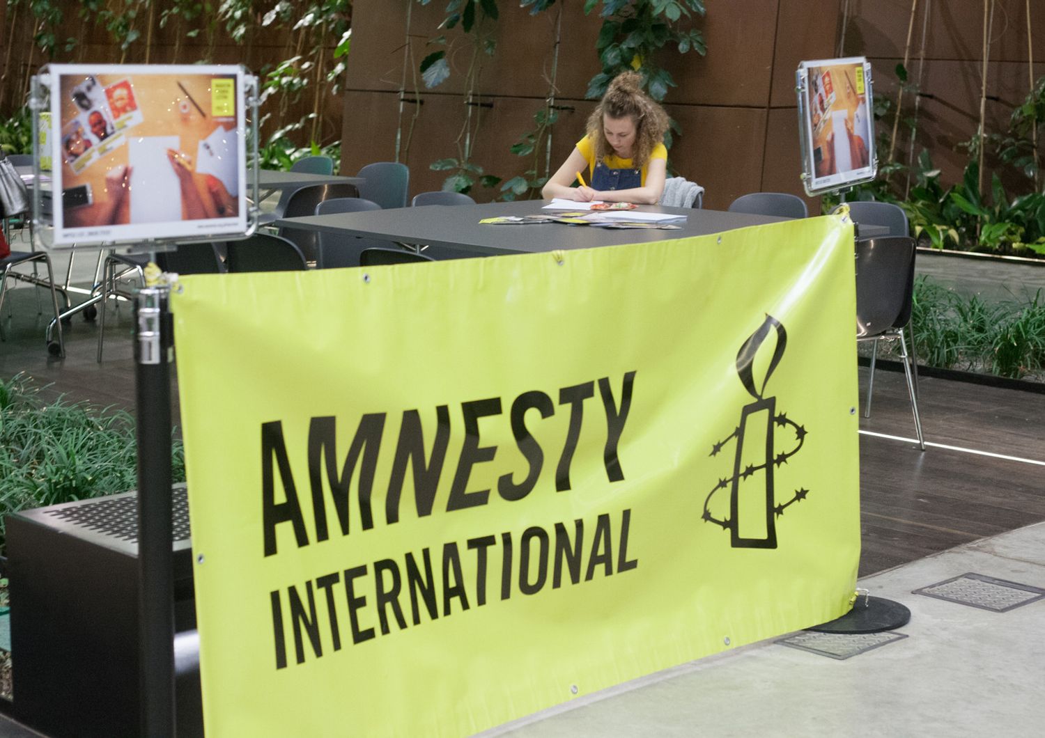 amnesty international &nbsp;