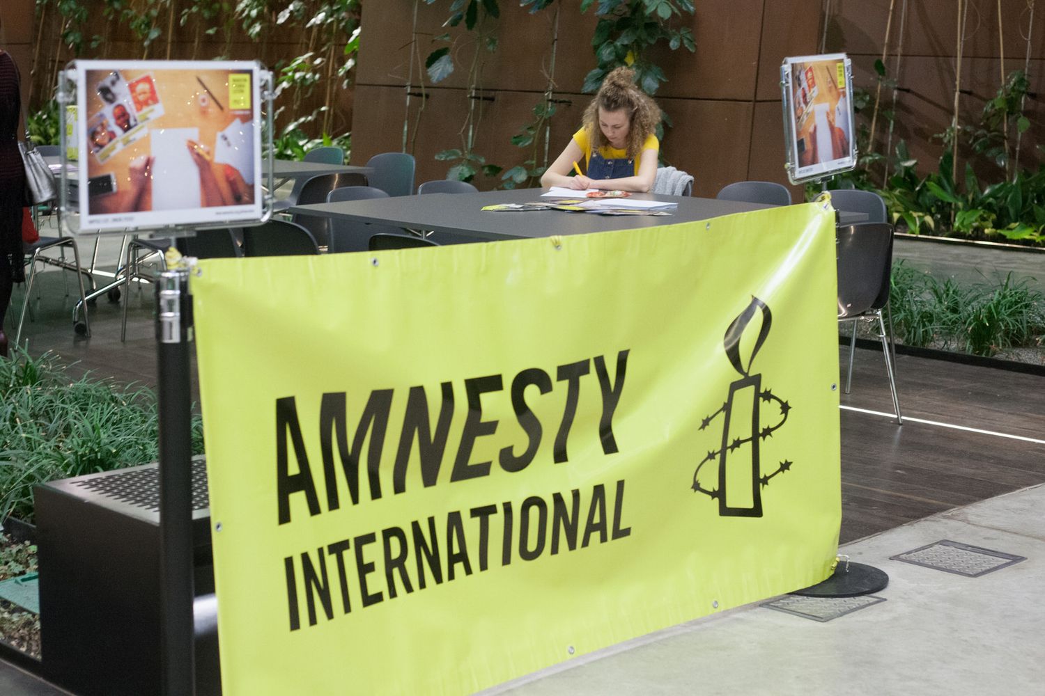 amnesty international