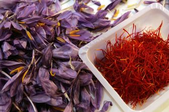 &nbsp;Zafferano (Afp)