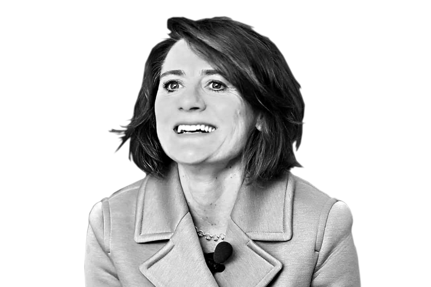 cecilia laschi&nbsp;