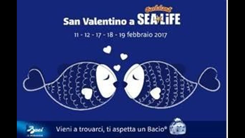 Al Gardaland Sea Life Aquarium un'esperienza romantica per il giorno di San Valentino&nbsp;