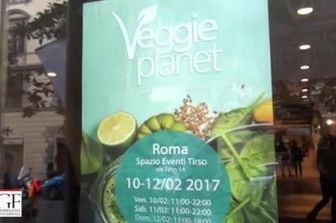 &nbsp;Veggie Planet (Agf)