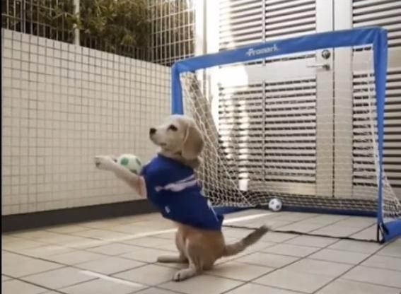 Difficili equilibri&nbsp;