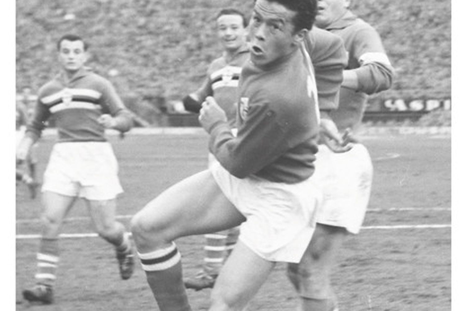 &nbsp;Miguel Angel Montuori (Wikipedia)