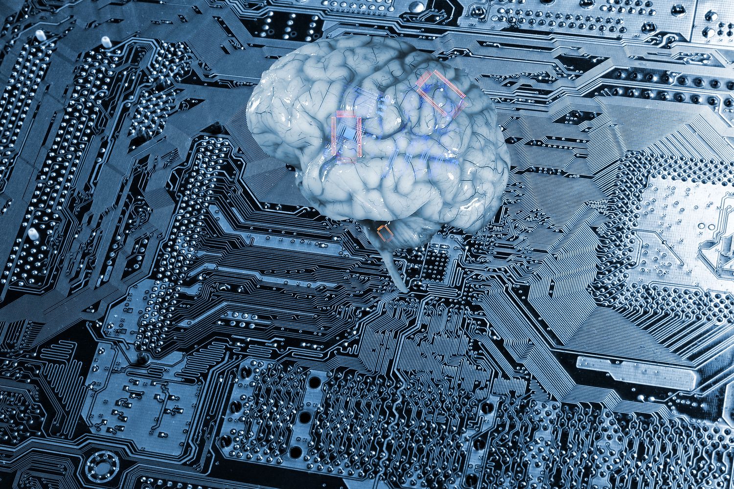 cervello robot (Afp)&nbsp;